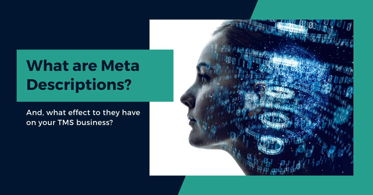 What are meta descriptions and how do they impact TMS Clinics_