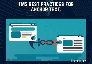 TMS Best Practices for Anchor Text