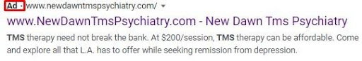 paid ads for SERP